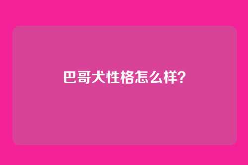 巴哥犬性格怎么样？