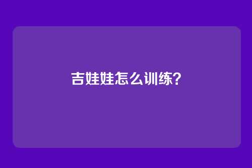 吉娃娃怎么训练？