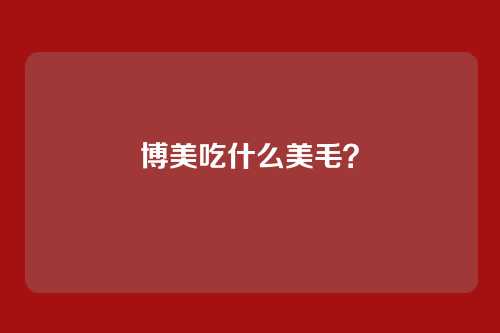 博美吃什么美毛？