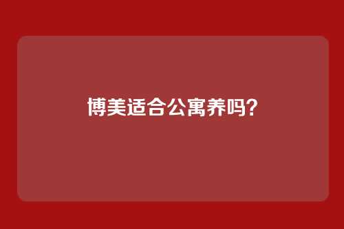 博美适合公寓养吗？
