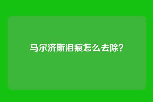 马尔济斯泪痕怎么去除？