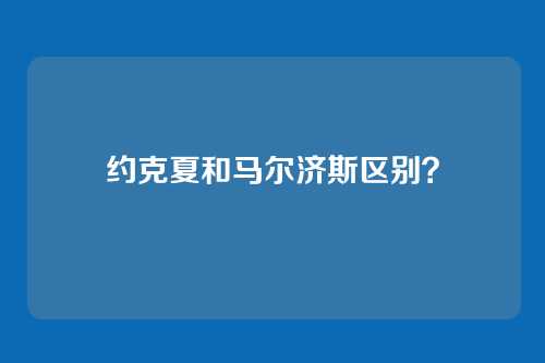 约克夏和马尔济斯区别？