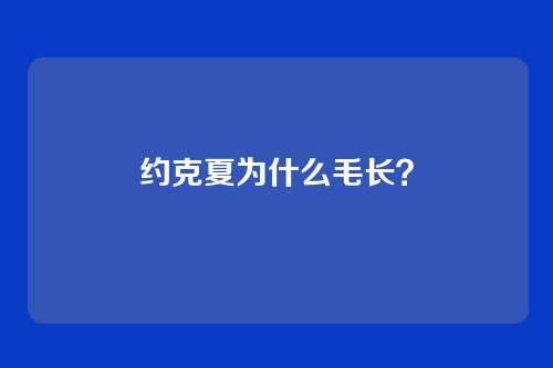 约克夏为什么毛长？