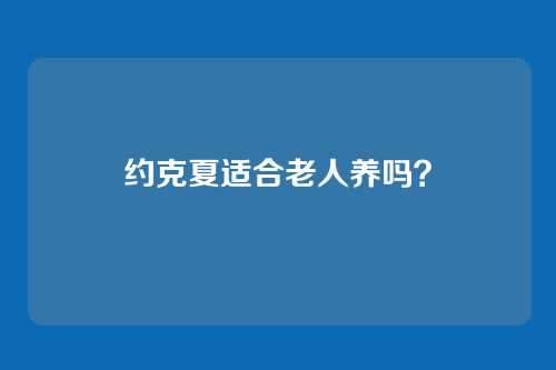 约克夏适合老人养吗？