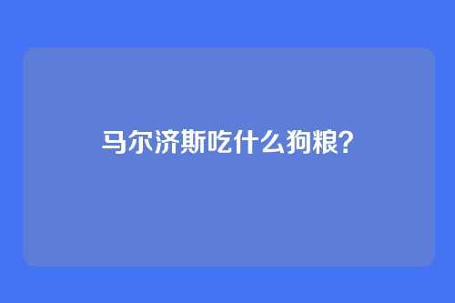 马尔济斯吃什么狗粮？