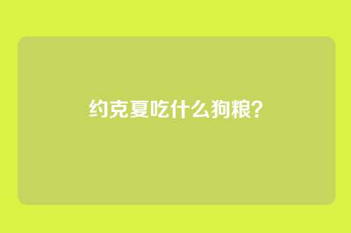 约克夏吃什么狗粮？