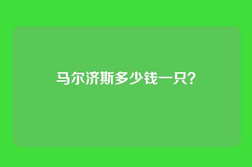 马尔济斯多少钱一只？