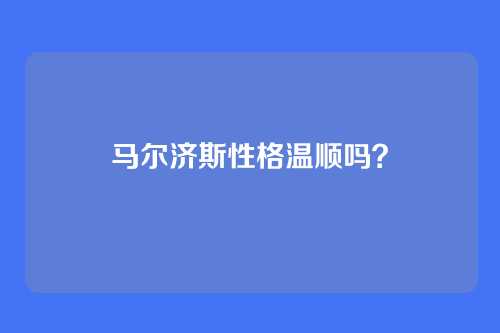 马尔济斯性格温顺吗？