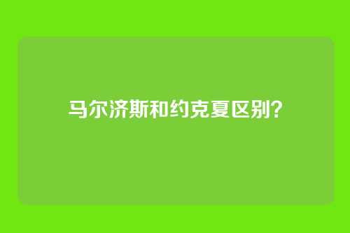 马尔济斯和约克夏区别?