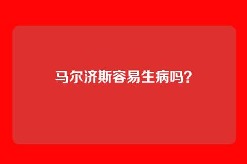 马尔济斯容易生病吗？