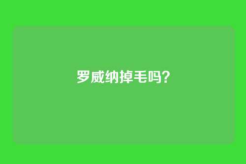罗威纳掉毛吗？
