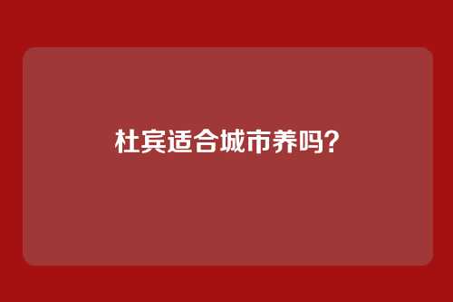 杜宾适合城市养吗？
