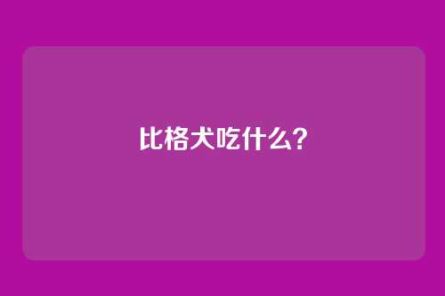 比格犬吃什么?