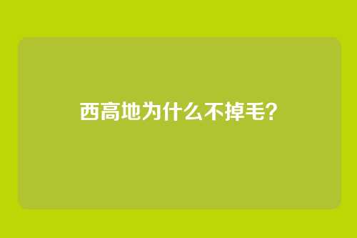 西高地为什么不掉毛？