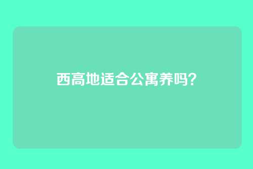西高地适合公寓养吗？