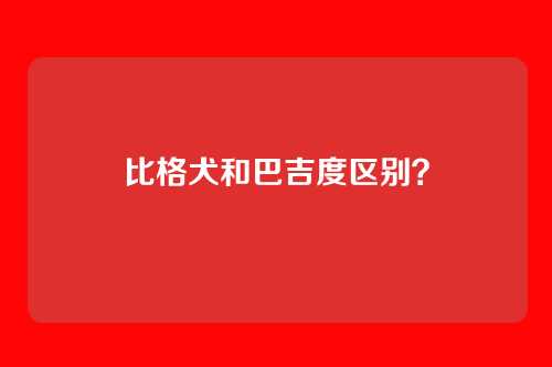 比格犬和巴吉度区别？