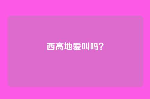 西高地爱叫吗？