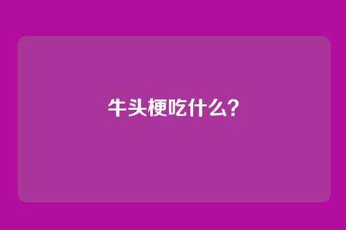 牛头梗吃什么？