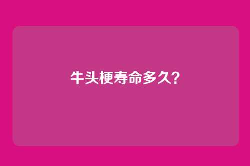 牛头梗寿命多久？