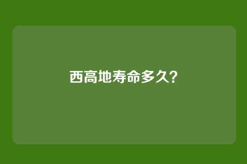 西高地寿命多久？
