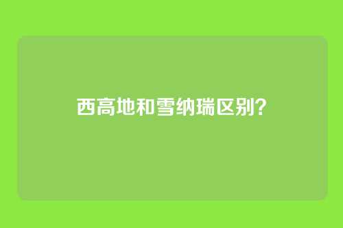西高地和雪纳瑞区别？