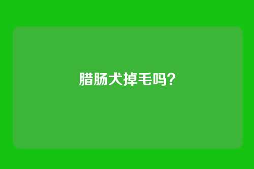 腊肠犬掉毛吗？