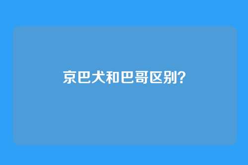 京巴犬和巴哥区别?