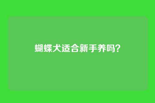 蝴蝶犬适合新手养吗？