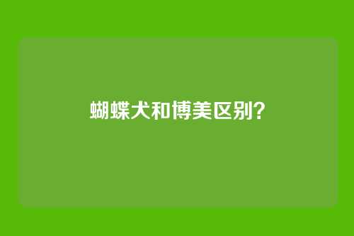 蝴蝶犬和博美区别？