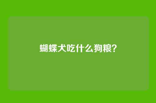 蝴蝶犬吃什么狗粮？