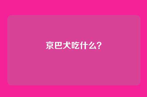 京巴犬吃什么？