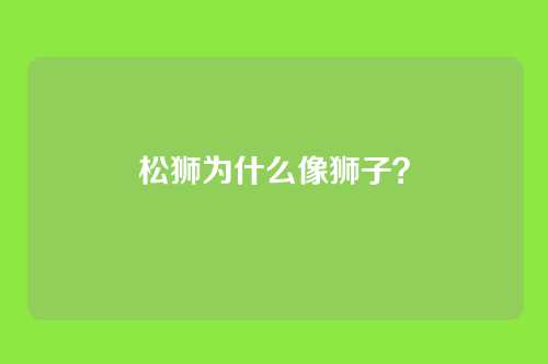 松狮为什么像狮子？