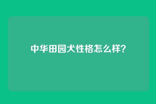 中华田园犬性格怎么样？
