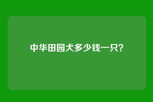 中华田园犬多少钱一只？