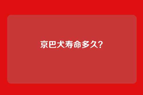 京巴犬寿命多久?