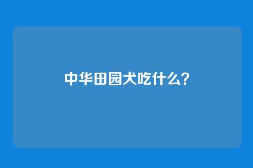 中华田园犬吃什么？