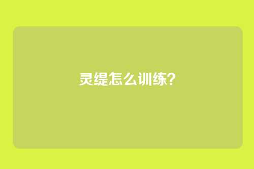灵缇怎么训练？