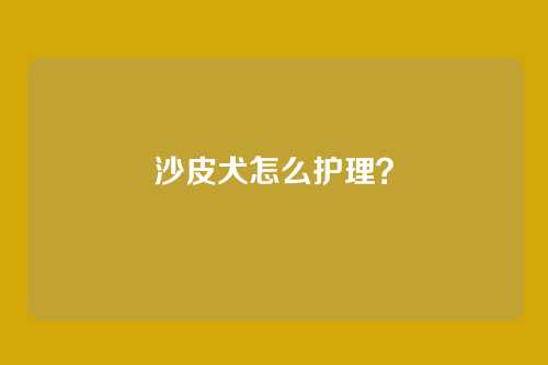 沙皮犬怎么护理？