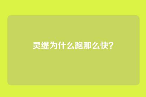 灵缇为什么跑那么快？