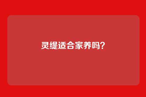 灵缇适合家养吗？