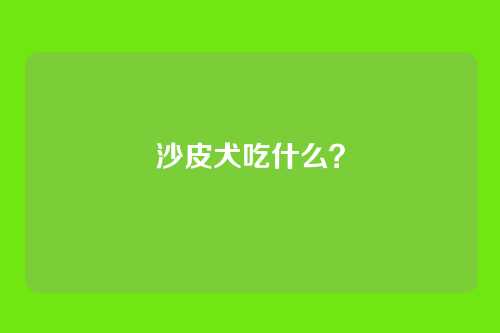 沙皮犬吃什么？