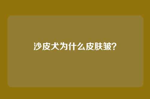 沙皮犬为什么皮肤皱?