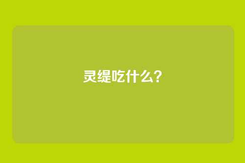 灵缇吃什么？