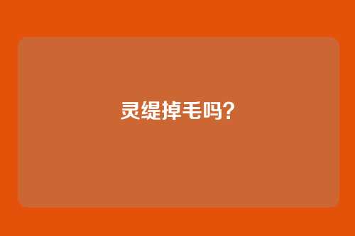灵缇掉毛吗？