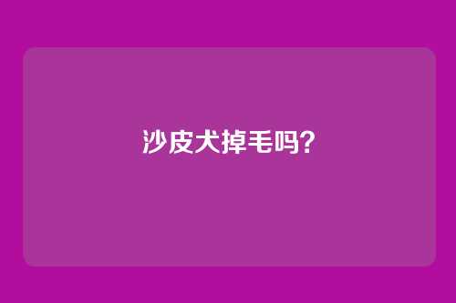 沙皮犬掉毛吗?
