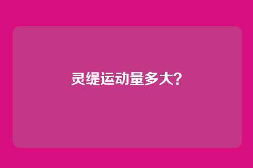 灵缇运动量多大?
