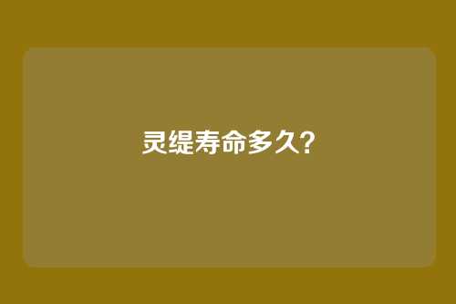 灵缇寿命多久？