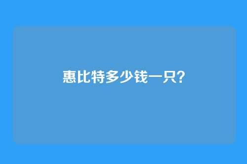 惠比特多少钱一只？