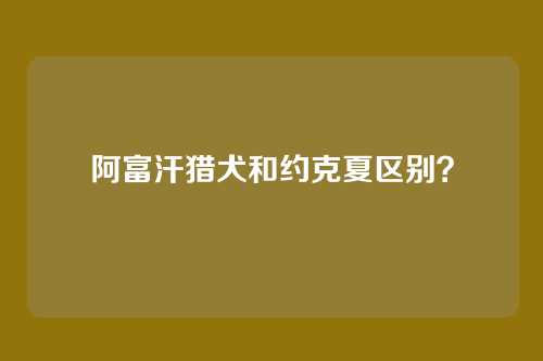 阿富汗猎犬和约克夏区别?