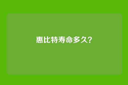 惠比特寿命多久？